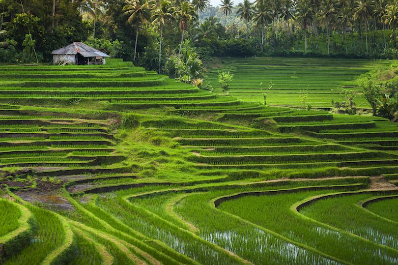 8 самых красивых регионов в Индонезии: что должны узнать путешественники перед поездкой
