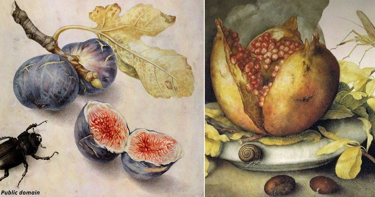 27 картин XVII века, на которых изображены фрукты того времени