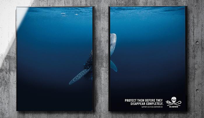 Швейцарское общество охраны морских обитателей разделило рекламные щиты пополам, чтобы привлечь внимание к исчезновению видов