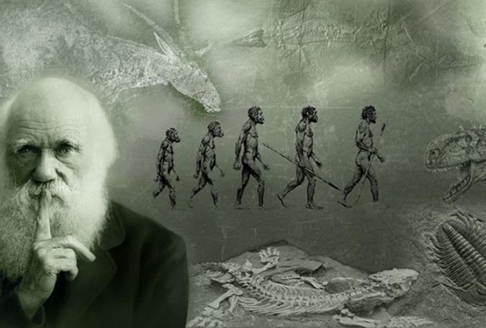 Труд сделал из обезьяны человека: 10 странных утверждений, опровергающих эволюцию