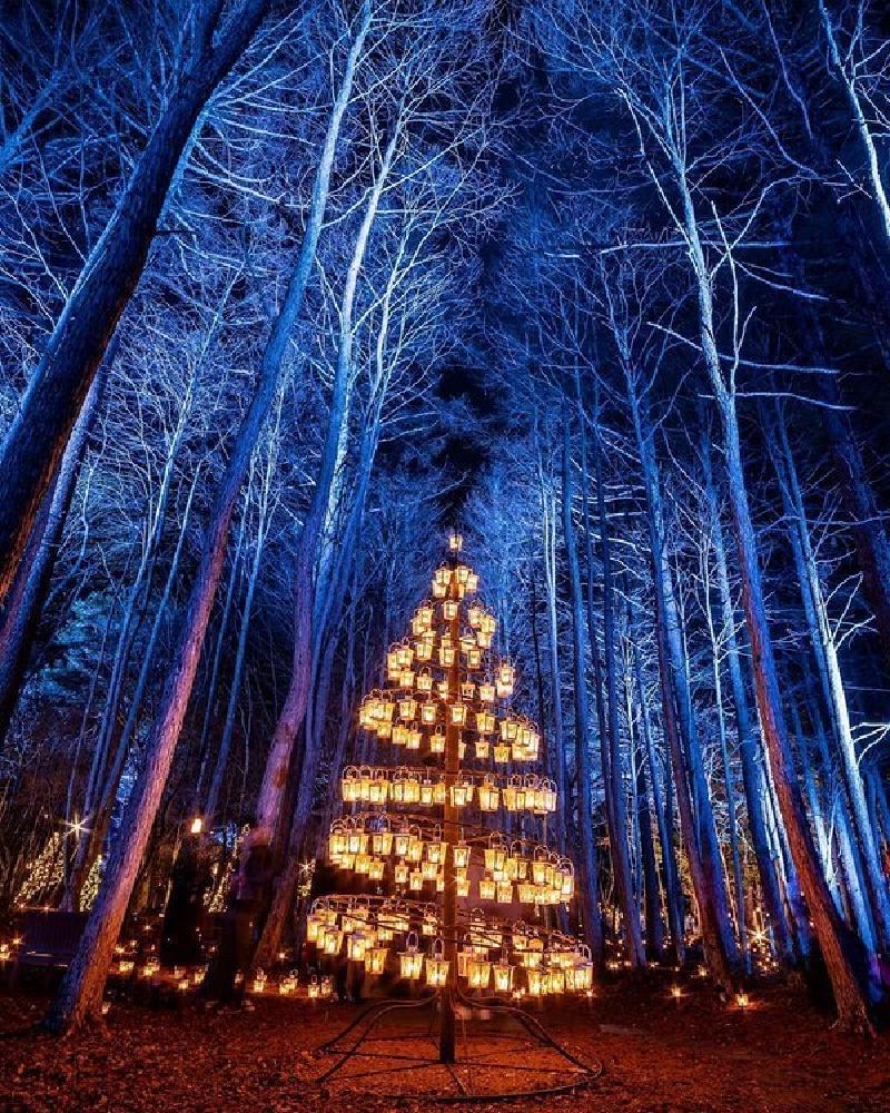 Новогодняя церковь Каруидзава: лес, свечи и волшебная атмосфера