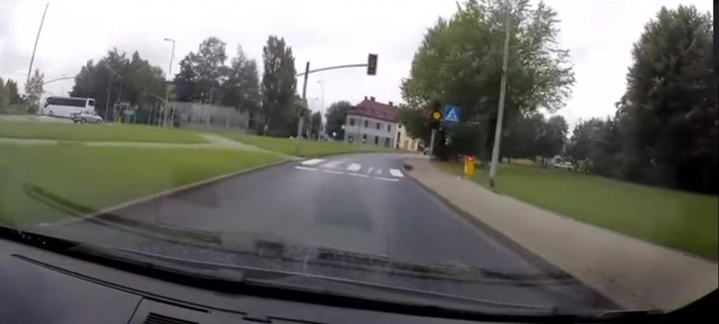 Водитель остановился перед пешеходным переходом и увидел пса, который соблюдает ПДД (видео)