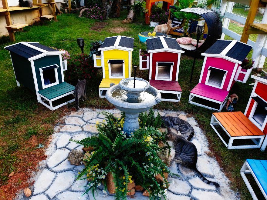 Домики для сна, фонтан, цветы - удивительно красивый дизайн приюта для бездомных кошек
