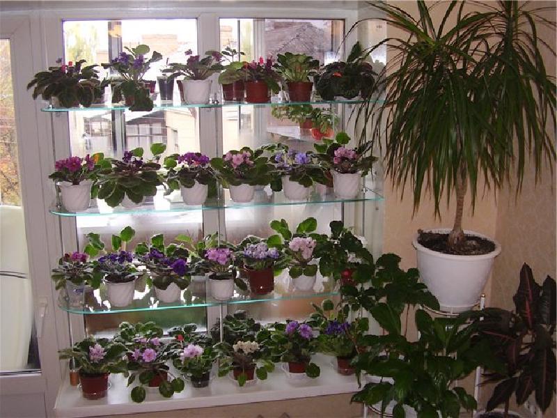 Всем любителям комнатных растений: стильные, удобные полочки. Какой отдать предпочтение