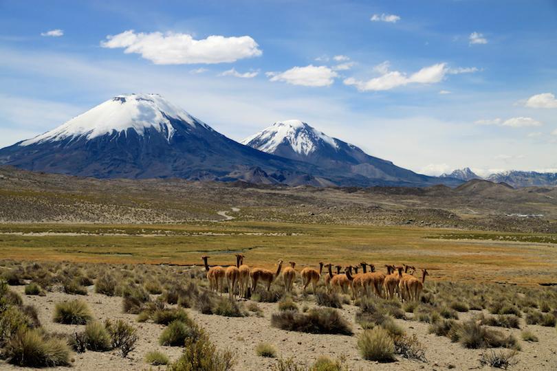 10 самых красивых национальных парков Чили: почему путешественники стремятся осмотреть каждый из них
