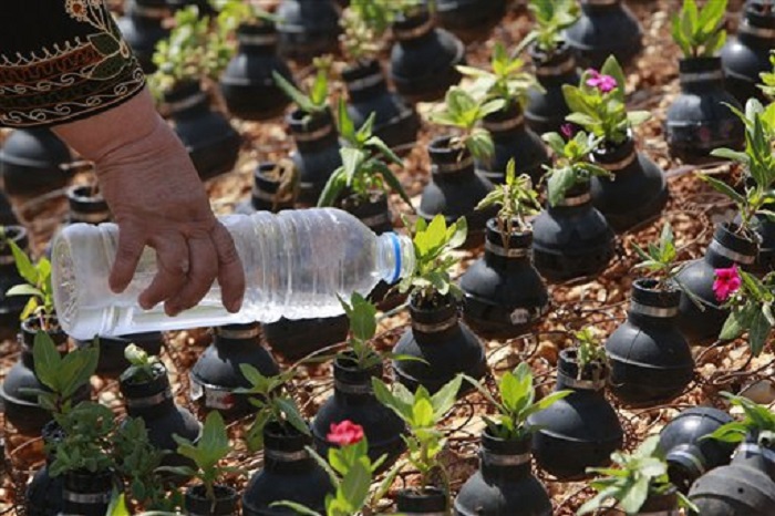 Женщина собирает армейские гранаты для посадки цветов: у нее целый сад