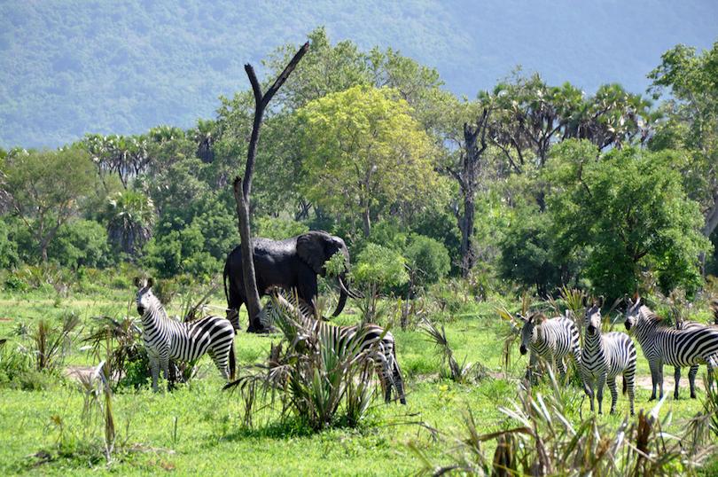 Почему приток туристов в Танзанию не снижается: 10 мест, которые не позволяют путешественникам забыть по эту страну
