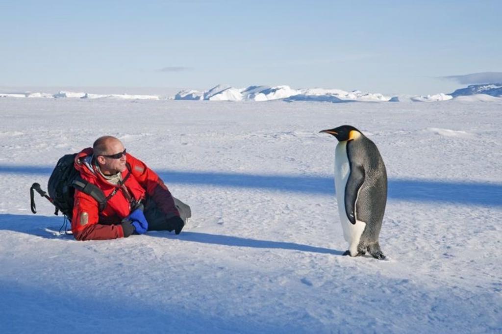 Оказывается, это не безвредно: после 14 месяцев в Антарктиде у полярников уменьшился мозг