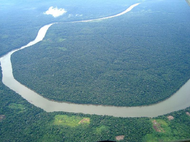 Взрыв красоты: удивительные фото дикой природы джунглей Амазонки