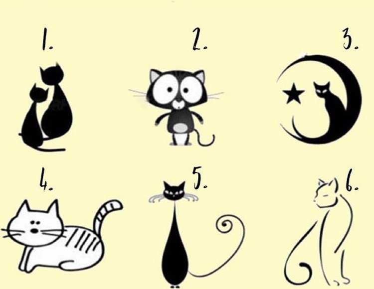 Выбрав одного из 6 смешных нарисованных котиков, мы сможем узнать больше о себе