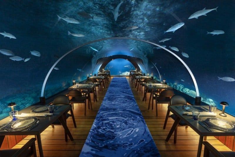 Ужин под водой и уютнейшая спальня: отель, в котором вы можете созерцать удивительный подводный мир