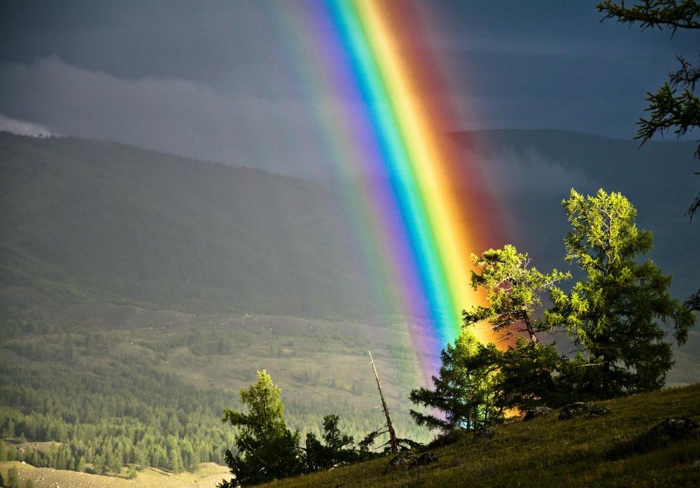 Удивительная природа: 5 самых невероятных фактов о радуге