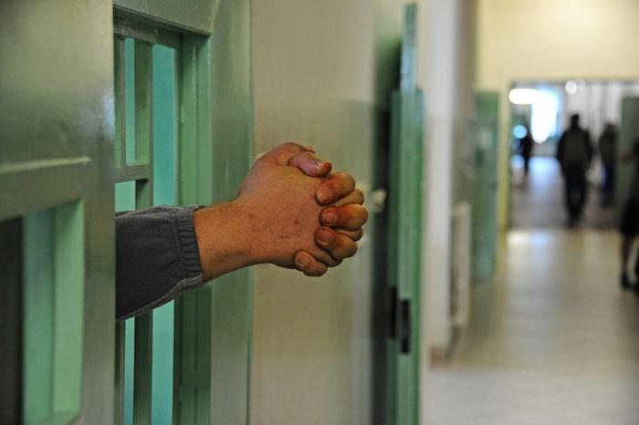 В Италии заключенным предлагают получить образование. 9 человек уже получили дипломы по английскому языку