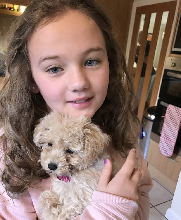 10-летняя девочка была уверена, что щенка отдадут другу, пока родители ей не рассказали правду