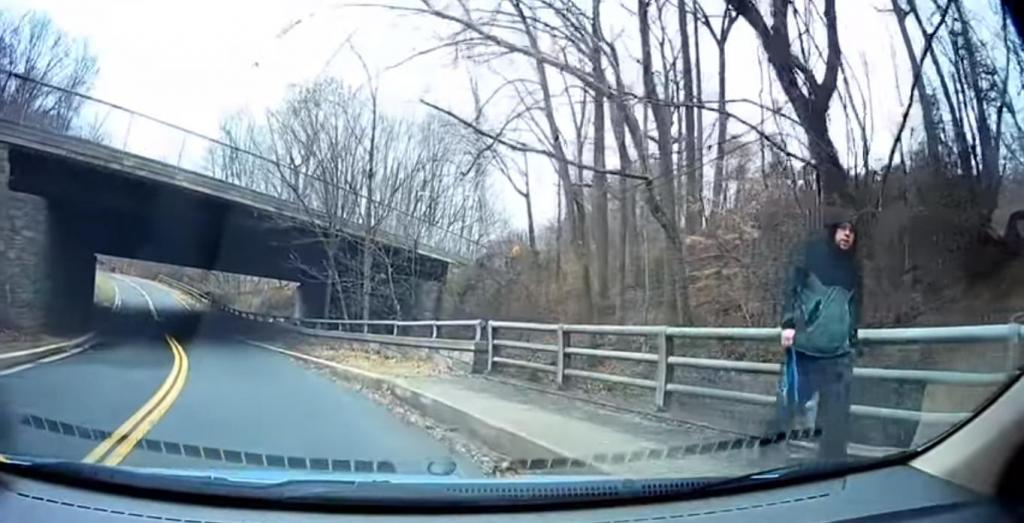 Водитель увидел человека с поводком в руке, а затем на дороге появилась одинокая собака (видео)