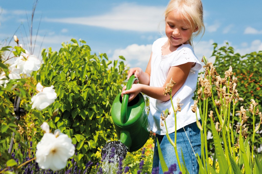Помидоры черри, кукуруза и другие растения, которые можно выращивать вместе с детьми и есть