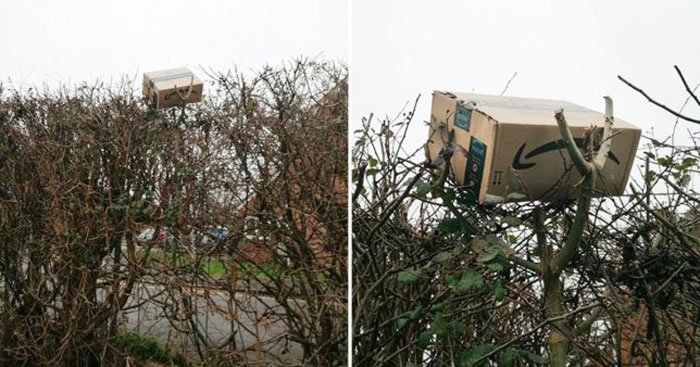 Пункт назначения: мужчина заказал товар, а водитель Amazon оставил посылку на вершине высокой живой изгороди