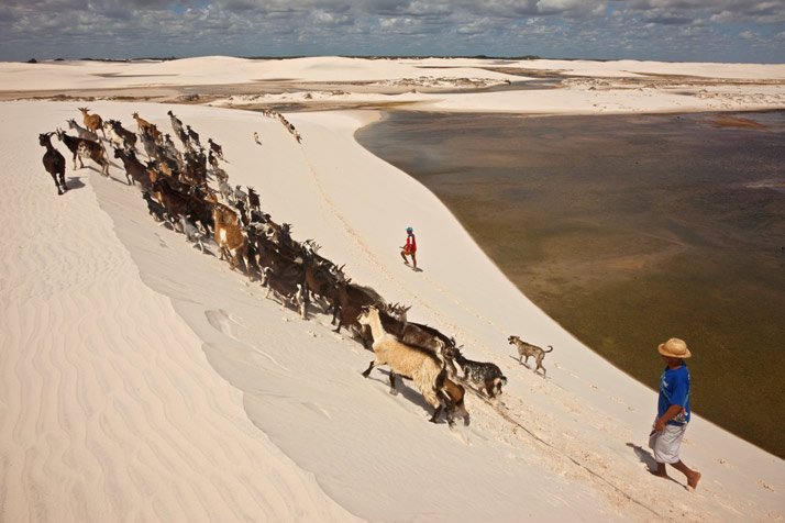 Воды больше, чем песка: фото удивительной пустыни Ленсойс-Мараньенсис, расположенной в северной Бразилии