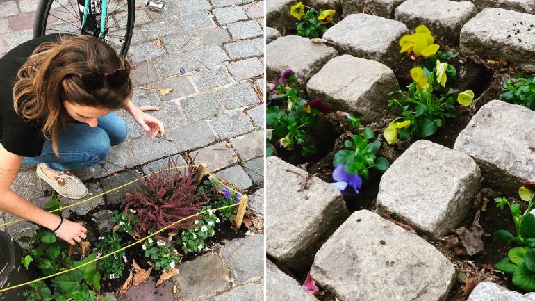 Партизанское садоводство: дизайнер Фанни Эхл по ночам разбирает брусчатку на улицах Парижа, чтобы высадить цветы