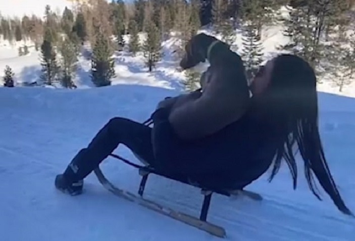 Девушка решила съехать с горы на санках вместе с собакой, но питомцу это не понравилось (забавное видео)