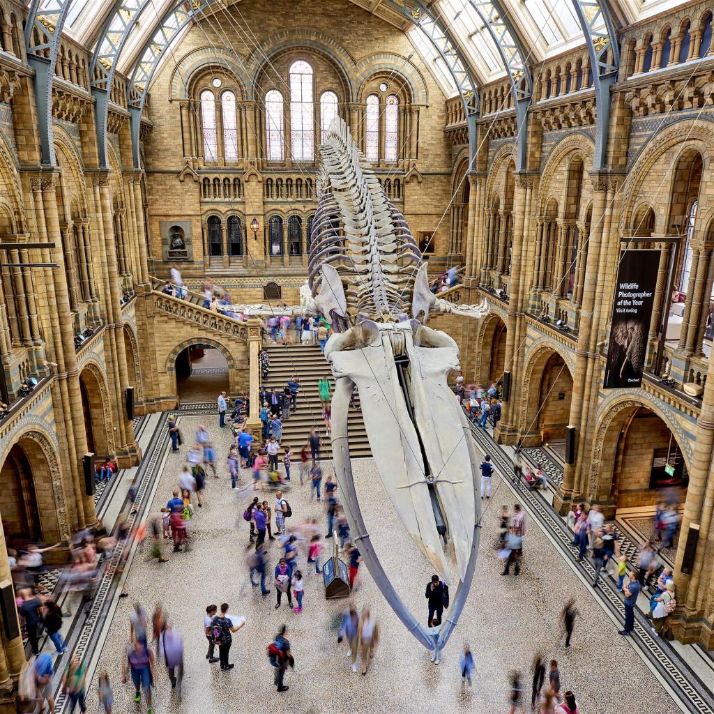 Весной в лондонском Музее естественной истории откроется необычная выставка, посвященная  Фантастическим тварям  Джоан Роулинг