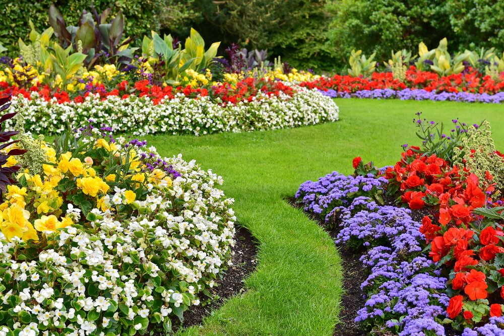 Пора подумать о саженцах: как правильно выбрать цветовую гамму для гармоничного сада (от монохромной до контрастной)