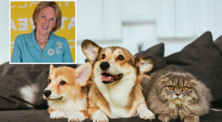  Кошки и собаки должны приравниваться к людям : активисты хотят запретить термин  домашнее животное 