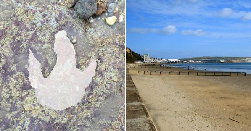 На острове Уайт после урагана  Сиара  обнаружили следы, оставленные динозаврами, которые бродили по этой местности миллионы лет назад