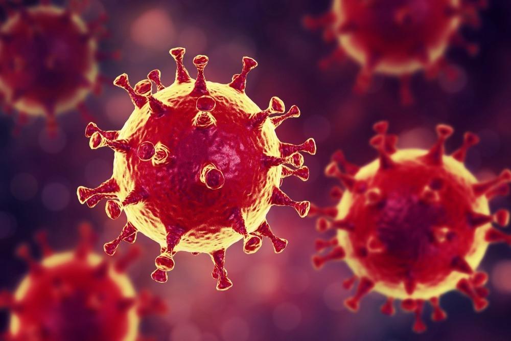 Прочла научное исследование за 2015 год и выяснила, что новый коронавирус   дело рук американских ученых