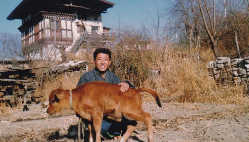 Бутан   страна эффективного развития и уникальной природы: стоит познакомиться