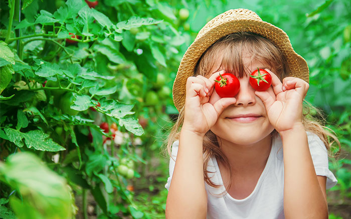 Кушайте томаты, чтобы улучшить память: готовим тарты из слоеного теста с помидорами с собственной грядки