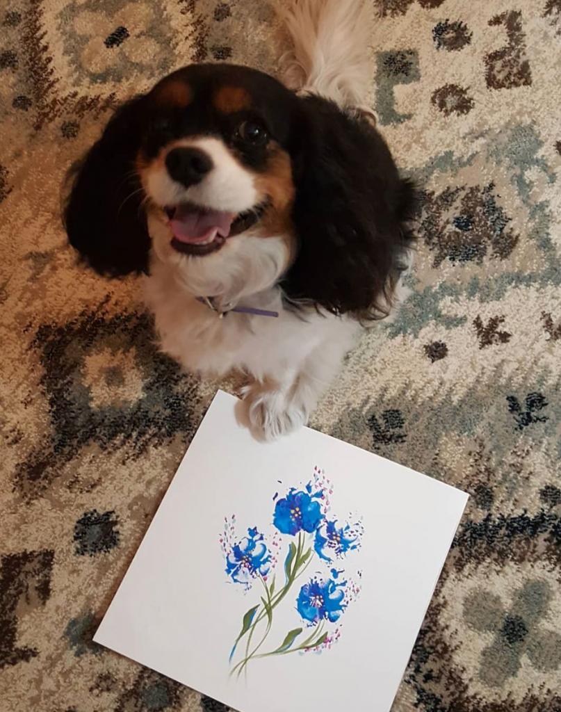 Чтобы красиво рисовать, не нужно быть художником: нужна всего лишь помощь собаки
