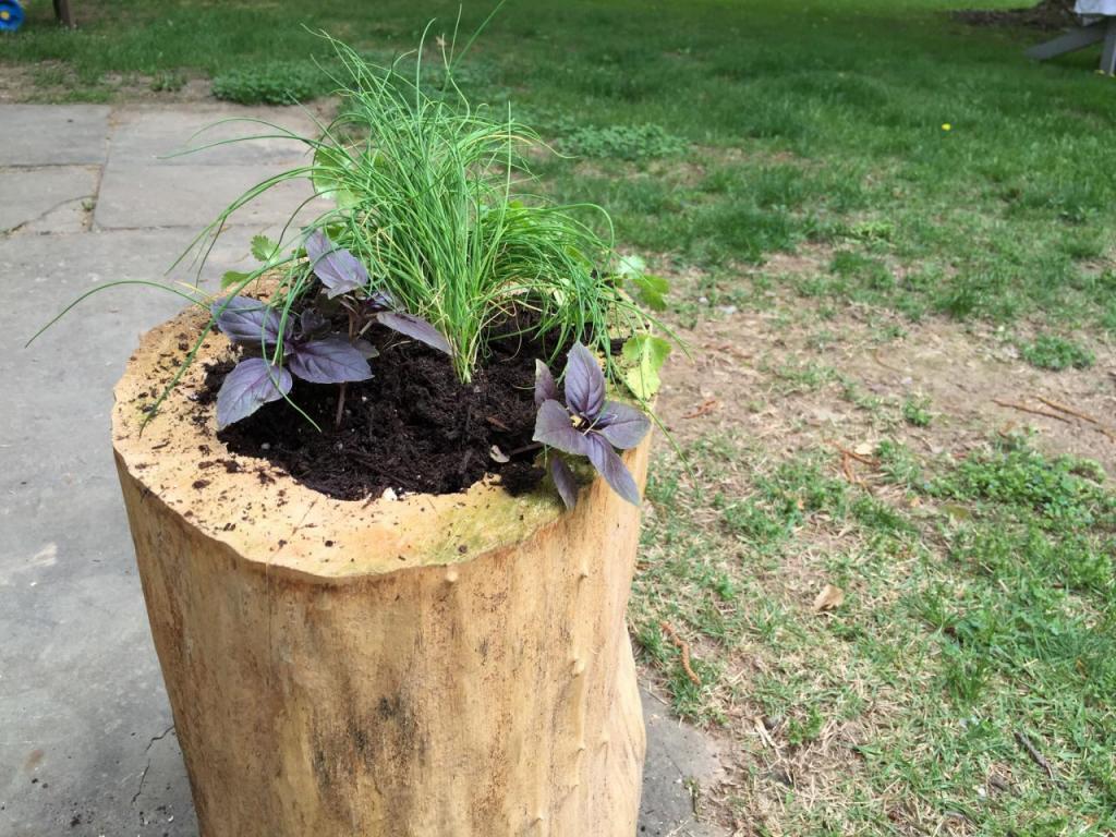 Из обычного деревянного полена я сделала красивый контейнер для цветов: он стал украшением в саду