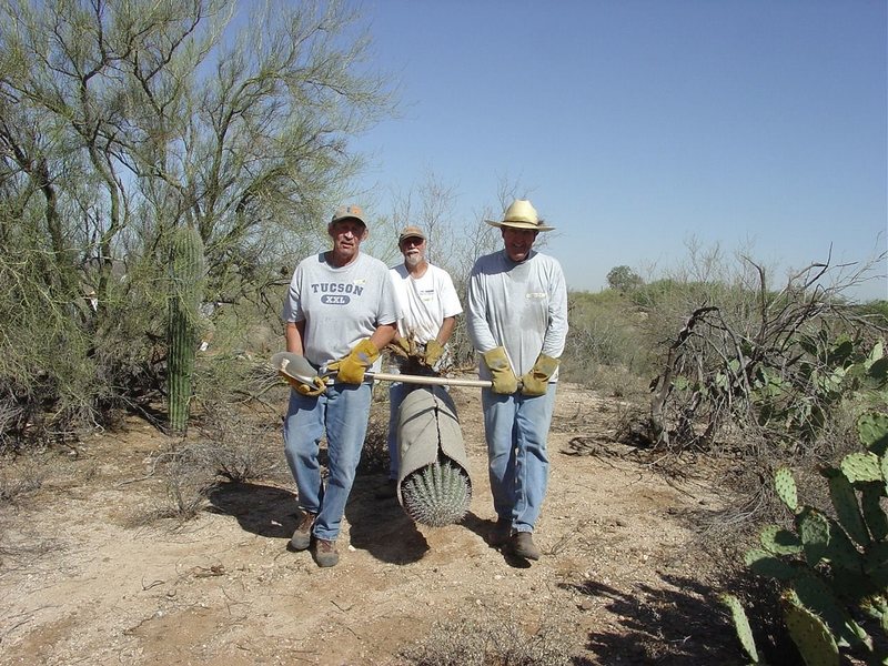 Есть такая профессия – кактусы спасать: как работает странное общество в Аризоне, клиентами которого являются  колючки  пустынь