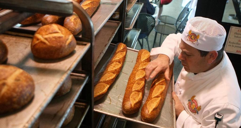 Секрет закваски в Сан Франциско: почему пекари этого города готовят прекрасный хлеб?