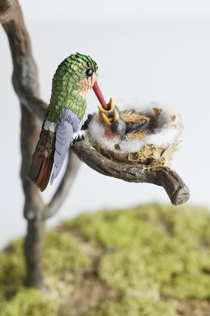 Художница создает из бумаги реалистичные скульптуры птиц (фото)