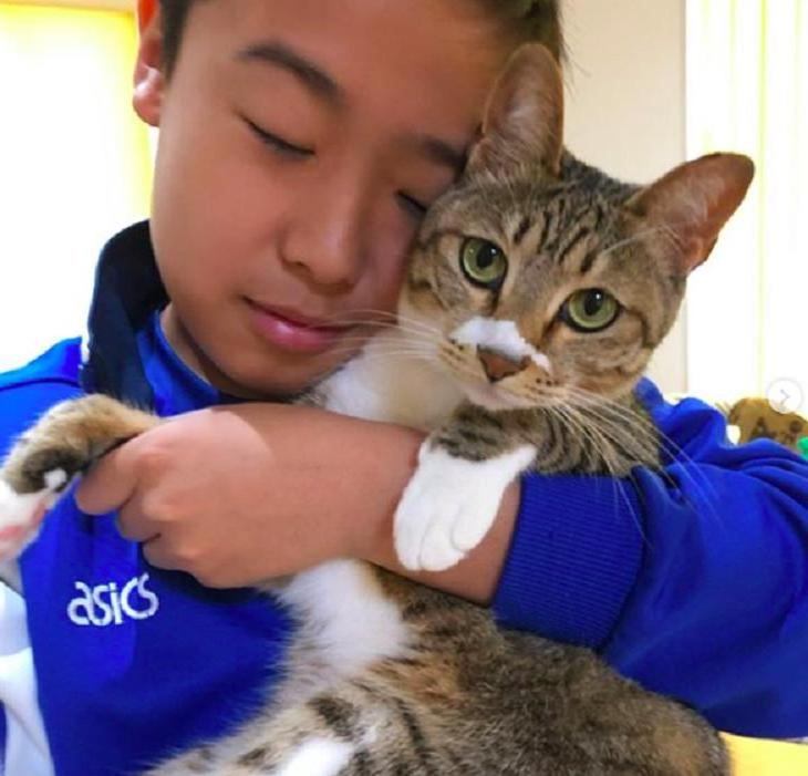 Кошка очень привязана к своему хозяину и каждый день сопровождает его в школу (фото)
