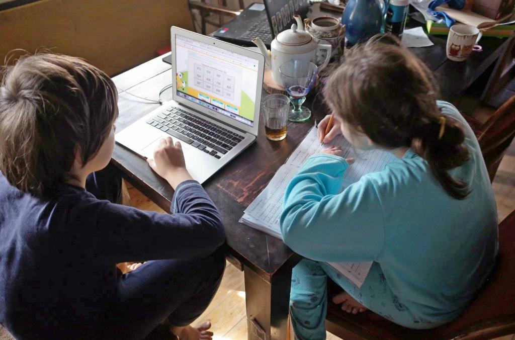 Несколько детей и один компьютер: как организовать обучение на дому. Родители делятся своими историями