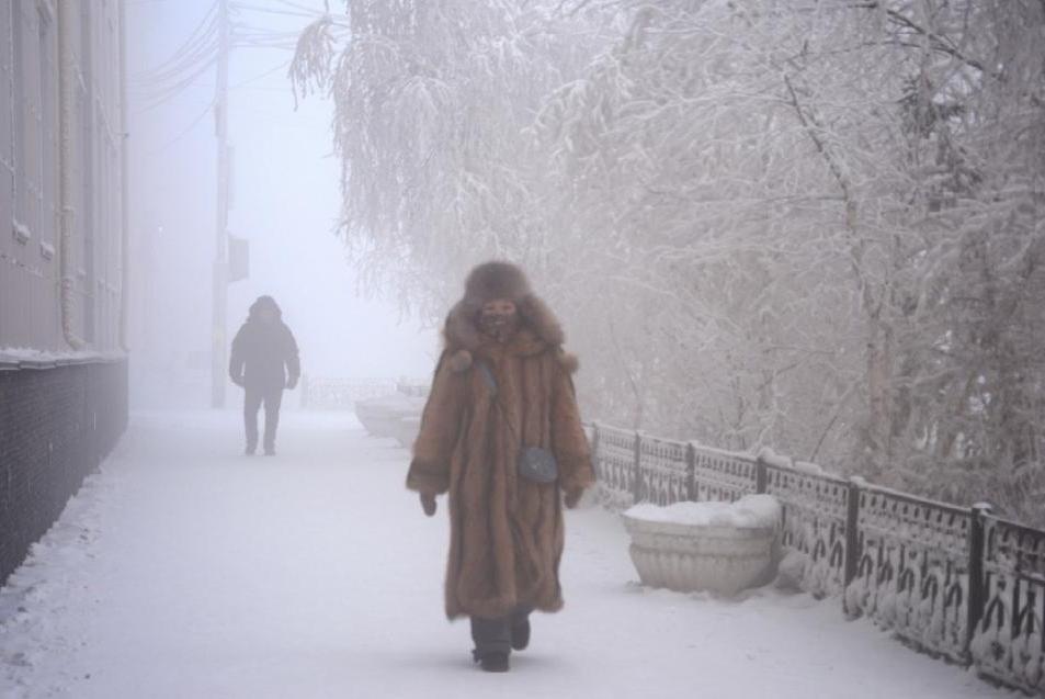 Ли холодная зима. Холод в России. Аномальные холода в России. Сильный Мороз. Морозы в России.