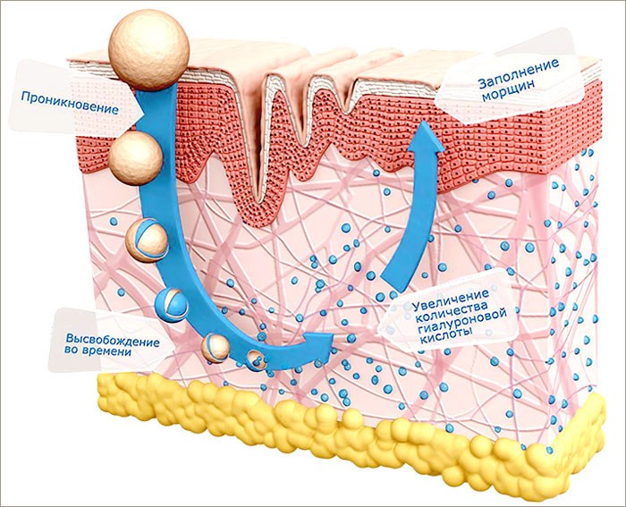 Гиалуроновая кислота для кожи. Гиалуроновая кислота структура. Механизм действия гиалуроновой кислоты. Функции гиалуроновой кислоты. Синтез гиалуроновой кислоты в коже.