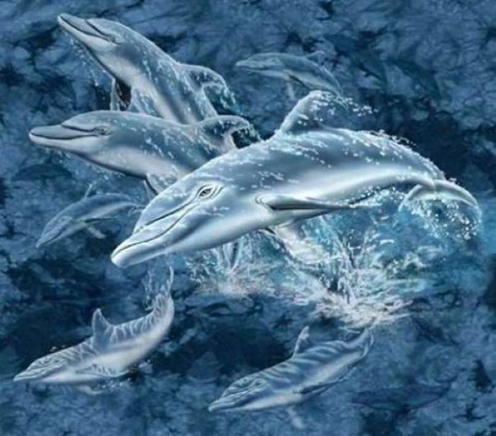 Я нашла на картинке 12 дельфинов, а муж за 30 секунд 17. Долго не могла уснуть, было интересно найти 5 недостающих
