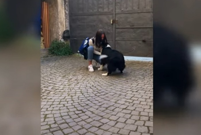 Из-за карантина собака не виделась с хозяйкой 50 дней: встреча получилась очень трогательной (видео)