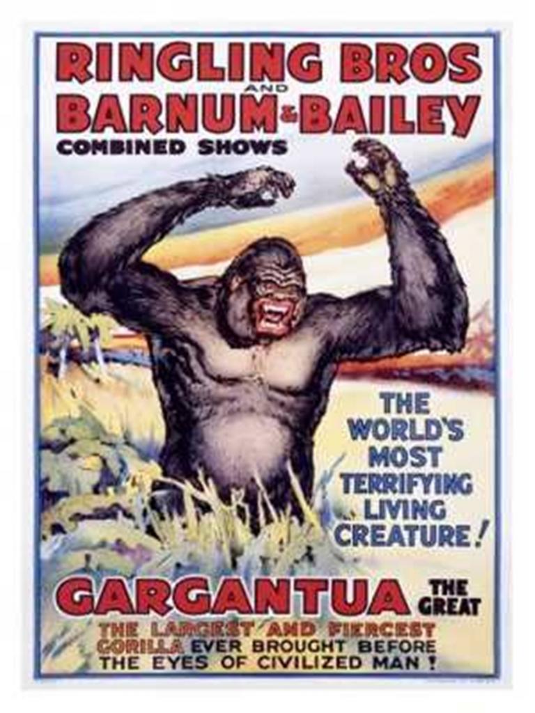 Слон, горилла и Гарри Гудини: 10 лучших цирковых исполнителей в истории