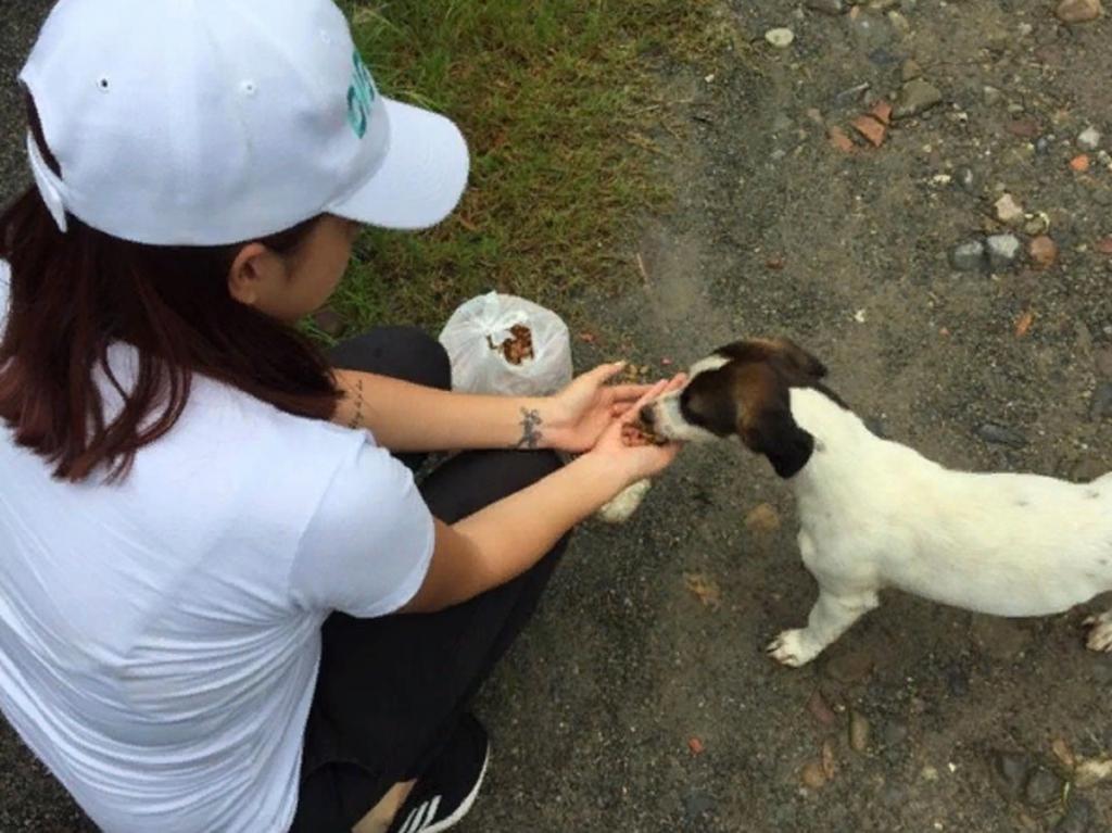 Девушка пожертвовала 150 килограммов корма для собак в разгар пандемии. Семьи благодарны юной волонтерше