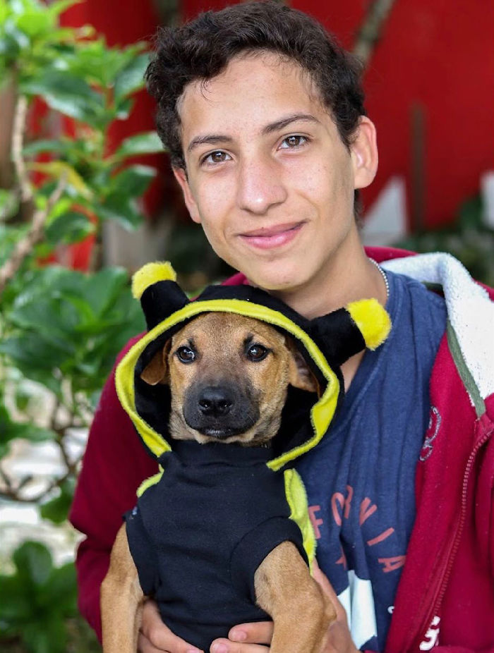 Мальчик спасает уличных животных с детства. Сейчас ему 17, и он создал собственный приют для них