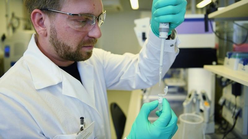 Зарубежные ученые утверждают, что коронавирус никуда не денется, пока мы не изобретем вакцину