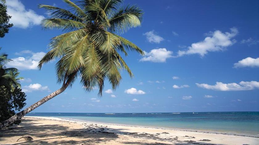 98 % островов необитаемы и карнавал перед постом: 10 интересных фактов о жизни на Карибах
