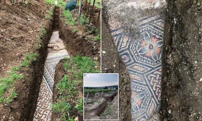 В Италии раскопали мозаику, за которой ученые охотились более 100 лет