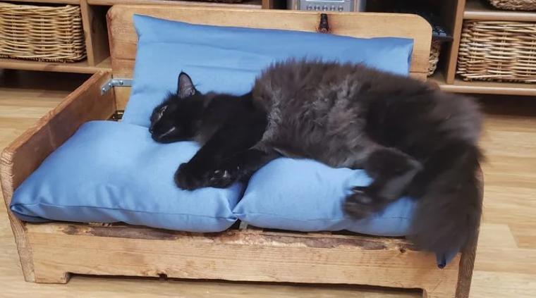 Деревянный диванчик для счастья вашего кота   простой проект своими руками: фото по шагам