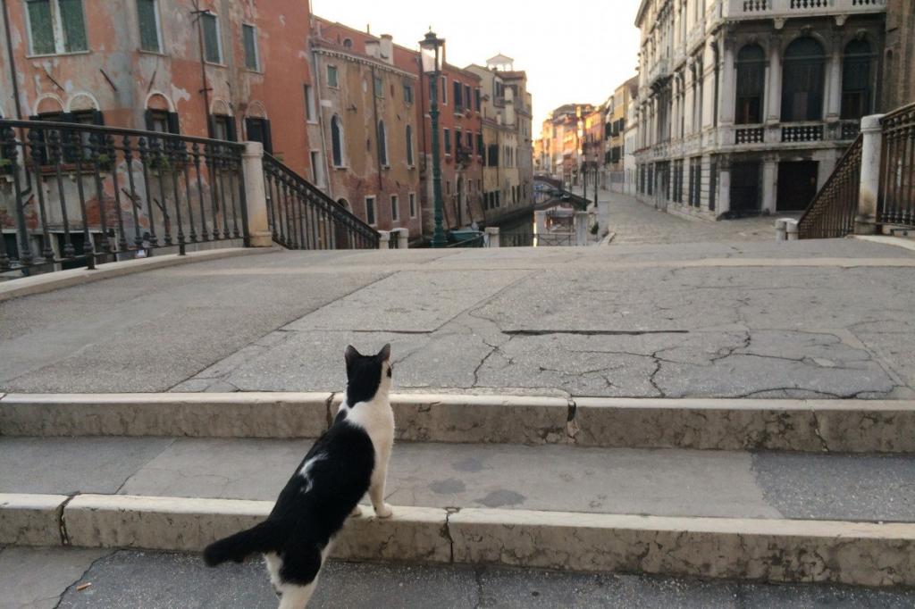 Накануне открытия Италии для туристов венецианец выложил в Сеть фотоэкскурсию по пустующим улицам и каналам Жемчужины Адриатики